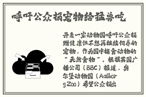 xk8012苏清歌的优势和特点